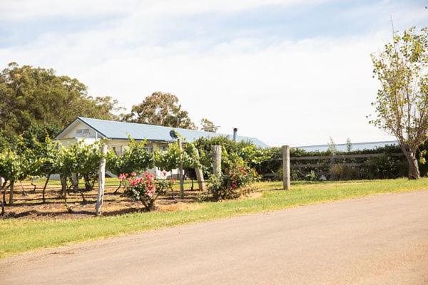 Penzion Audrey Wilkinson Vineyard Pokolbin Exteriér fotografie