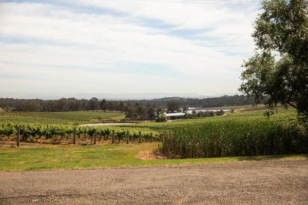 Penzion Audrey Wilkinson Vineyard Pokolbin Exteriér fotografie