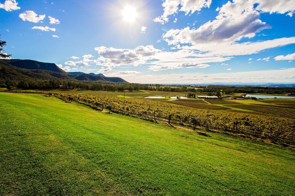 Penzion Audrey Wilkinson Vineyard Pokolbin Exteriér fotografie