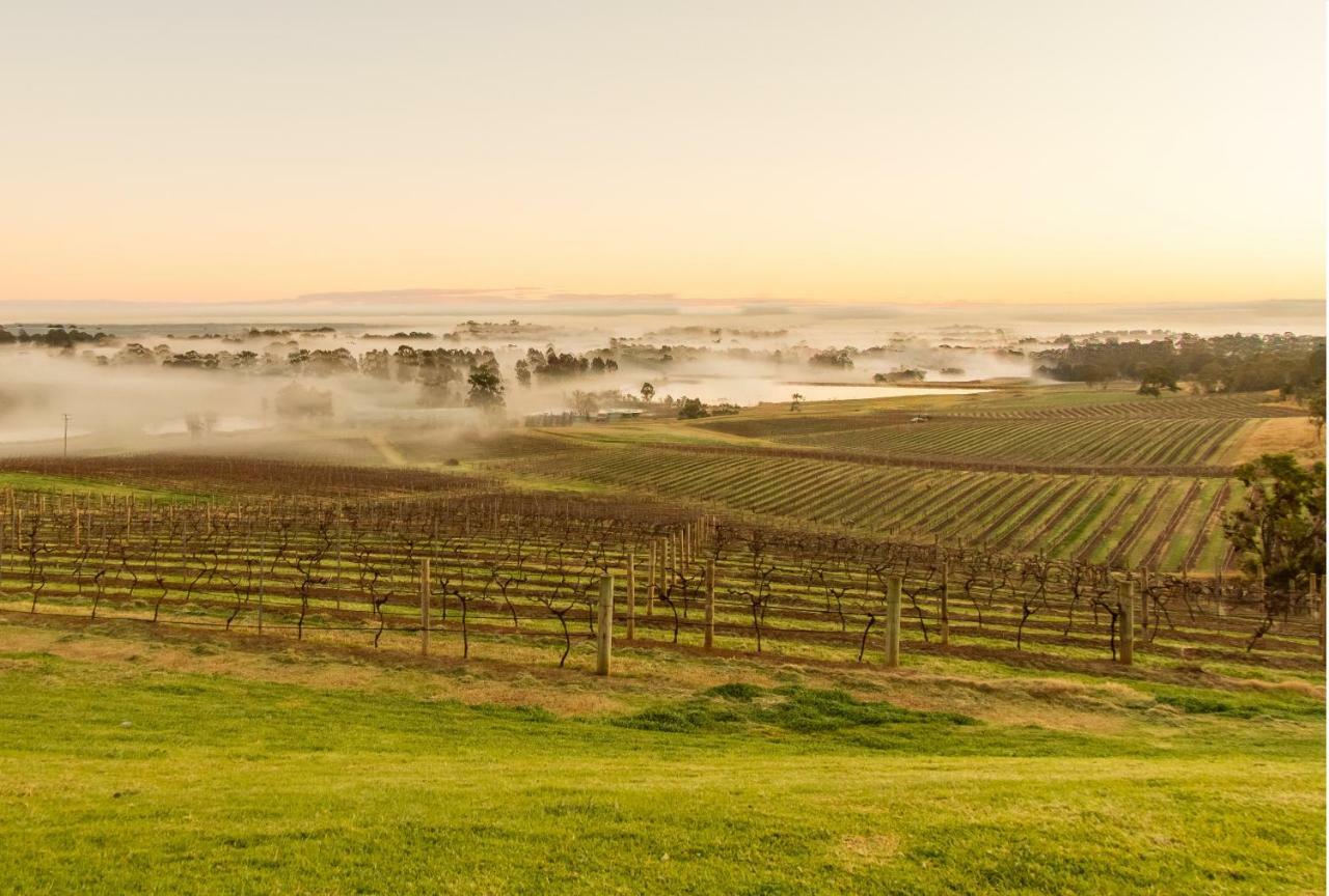 Penzion Audrey Wilkinson Vineyard Pokolbin Exteriér fotografie